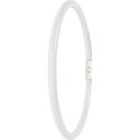 Led Rør 21,5W 840 2Gx13