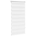 vidaXL Zebra Gardiner 60 x 120 cm Hvit