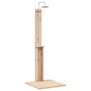 vidaXL Utendørs dusj 206 cm Massivt furutre og rustfritt stål Naturlig