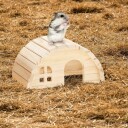 Rxs Hamsterhus I Tre