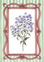 Asters in an Ornate Frame   Sage Green Stripes Plakat Plakat / 70x100cm