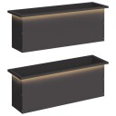 vidaXL Hageplantekasse med LED 2 stk. Svart 30 x 100 x 30 cm Stål