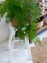 Chic Antique Krakk i fargen hvit fra Chic Antique