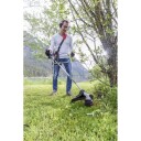 Ryddesag AL-KO BC 223 B