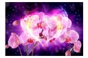 Fototapet Orchids In Flames 200x140 - Artgeist sp. z o. o.