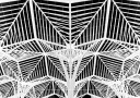 Enter the web Plakat Plakat / 70x100cm