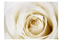 Fototapet Pearl Maze 150x105 - Artgeist sp. z o. o.