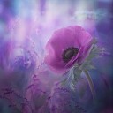 Ecstasy Poster Plakat / 30x30cm