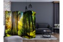 Romdeler - Forest Hideout II 225x172 - Artgeist sp. z o. o.