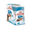 Royal Canin Maxi Puppy 10 x 140 g Våtfôr til Valp