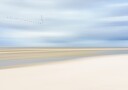 Birds Over Serene Shore Plakat / 50x70