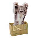 Ohlsson Och Lohaven Mustard Cat In A Box Sticky Notes M16079B