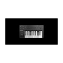 Native Instruments Komplete Kontrol A25