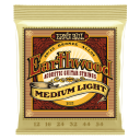 Ernie Ball 2006 Earthwood Bronze