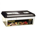  Exo Terra Faunarium plast terrarie 46X31X17.5 24.5L