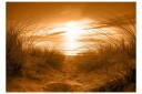 Fototapet Beach Sepia 300x210 - Artgeist sp. z o. o.
