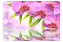 Fototapet Orchids In Lilac Colour 400x280 - Artgeist sp. z o. o.