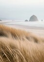 Misty Sea with Beach Grass Plakat Plakat / 70x100cm