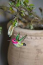 DecoBirds Håndskåret Fugl Annas Kolibri