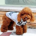 Grå Adidog Hundegenser For Liten Og Stor Hund
