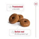 Royal Canin Medium Ageing 10+ Hundefôr for Eldre Hunder 15 kg