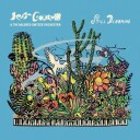 Jeff Goldblum & The Mildred Snitzer Orchestra  Still Blooming  CD