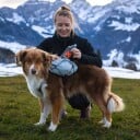 Non-Stop Dogwear Trail Light XL Hundekløv i Glacier Gray