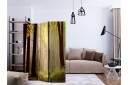 Romdeler - Mysterious Forest path 135x172 - Artgeist sp. z o. o.