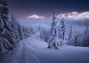 Winter Forest Mountain Path Plakat / 40x50
