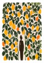 Lemon Grove Dream Plakat Plakat / 50x70cm
