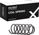 RIDEX 188C0453 Fjær