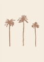 Palms Poster Plakat / 70x100cm