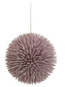 Europalms Succulent Ball (Eva), Pink 20cm