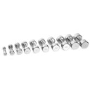 Gymstick Pro Chrome Dumbbell   Single Manualer Krom