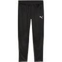 Puma  Teamgoal Training Pant 03 Puma Black-Puma White-Flat Dark Gray XS