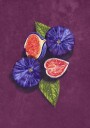 Figs Stil Life Plakat / 70x100cm
