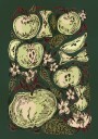 Sketched Green Apples Plakat / 21x30