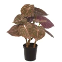 Anthurium kunstig plante H60 279686