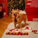 Little&Bigger Festive Slips til Hund og Katt 203939