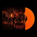 Unwelcome Guest Vinyl