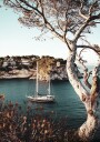 Yacht In Bay Plakat Plakat / 70x100cm