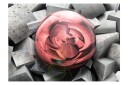 Fototapet Stone Rose 200x140 - Artgeist sp. z o. o.