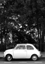Mini Car B&w Poster Plakat / 70x100cm