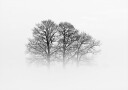A Hazy Shade of Winter Plakat Plakat / 40x50cm