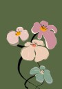 Blooming Graceful Plakat Plakat / 70x100cm