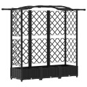 vidaXL Hevet Bed med Trellis og Tak Svart 163 x 40 x 123 cm PP
