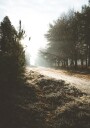 New Forest Plakat Plakat / 100x150cm