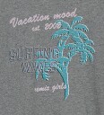 Designers Remix T skjorte   Brixton   Grey Melange m. Trykk   Designers Remix   14 år 164   T skjorte   Grå