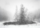 Winter in the mountain Plakat Plakat / 50x70cm