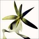 Tom Ford Black Orchid Reserve Parfyme 100 ML - Intens og Sensuell Duft